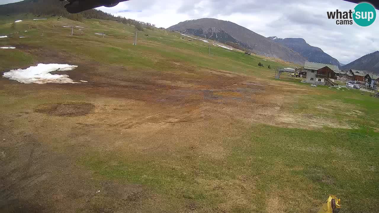 Livigno webcam – view on Livigno Ski School area – LivignoGO