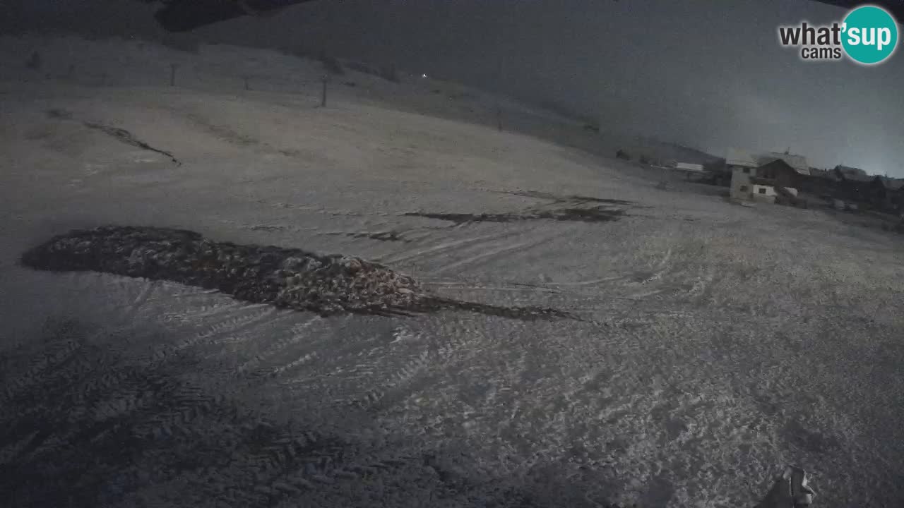 Livigno live webcam – view on Livigno Ski School area – LivignoGO