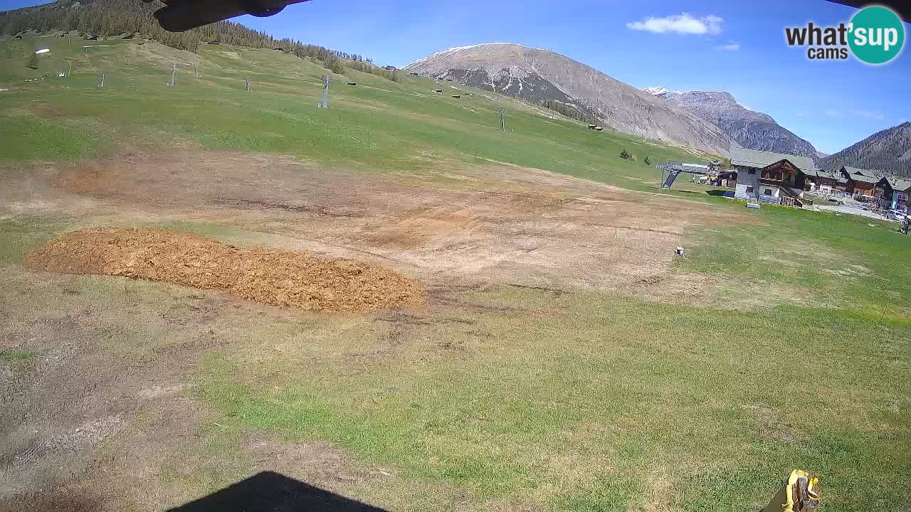 Livigno SKI webcam | Piste da SCI