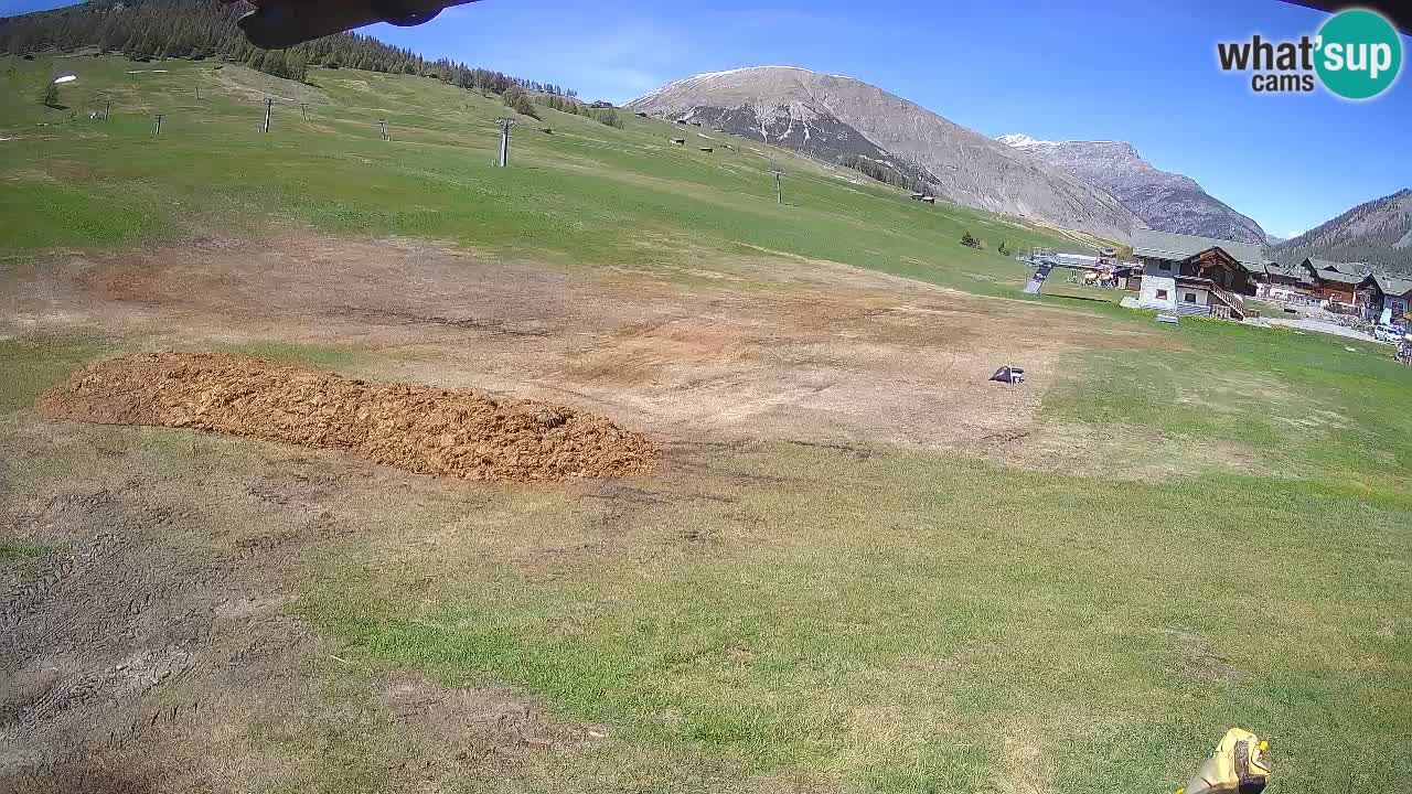 Livigno webcam – view on Livigno Ski School area – LivignoGO