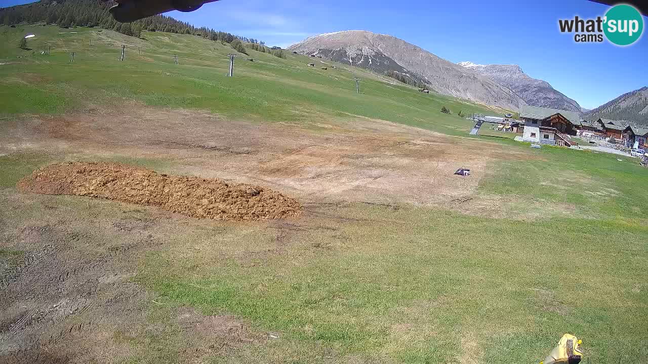 Livigno webcam – view on Livigno Ski School area – LivignoGO