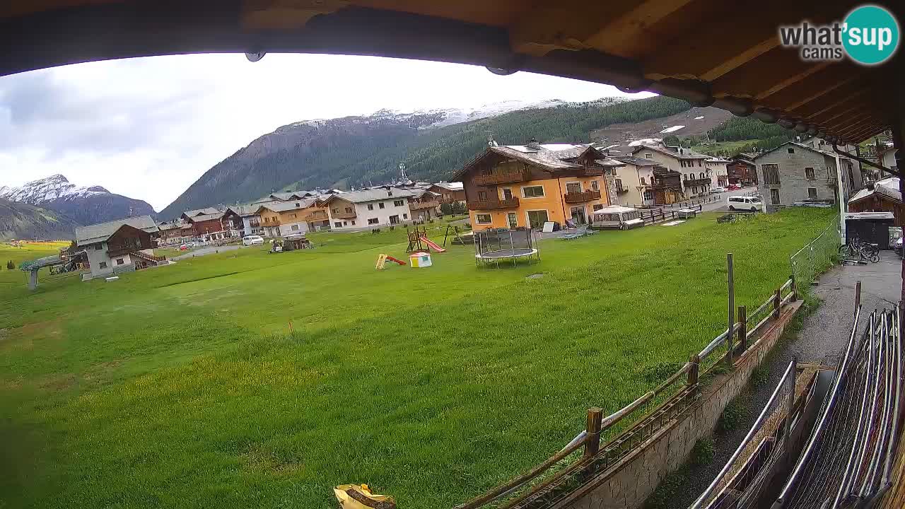 Livigno SKI webcam | Piste da SCI