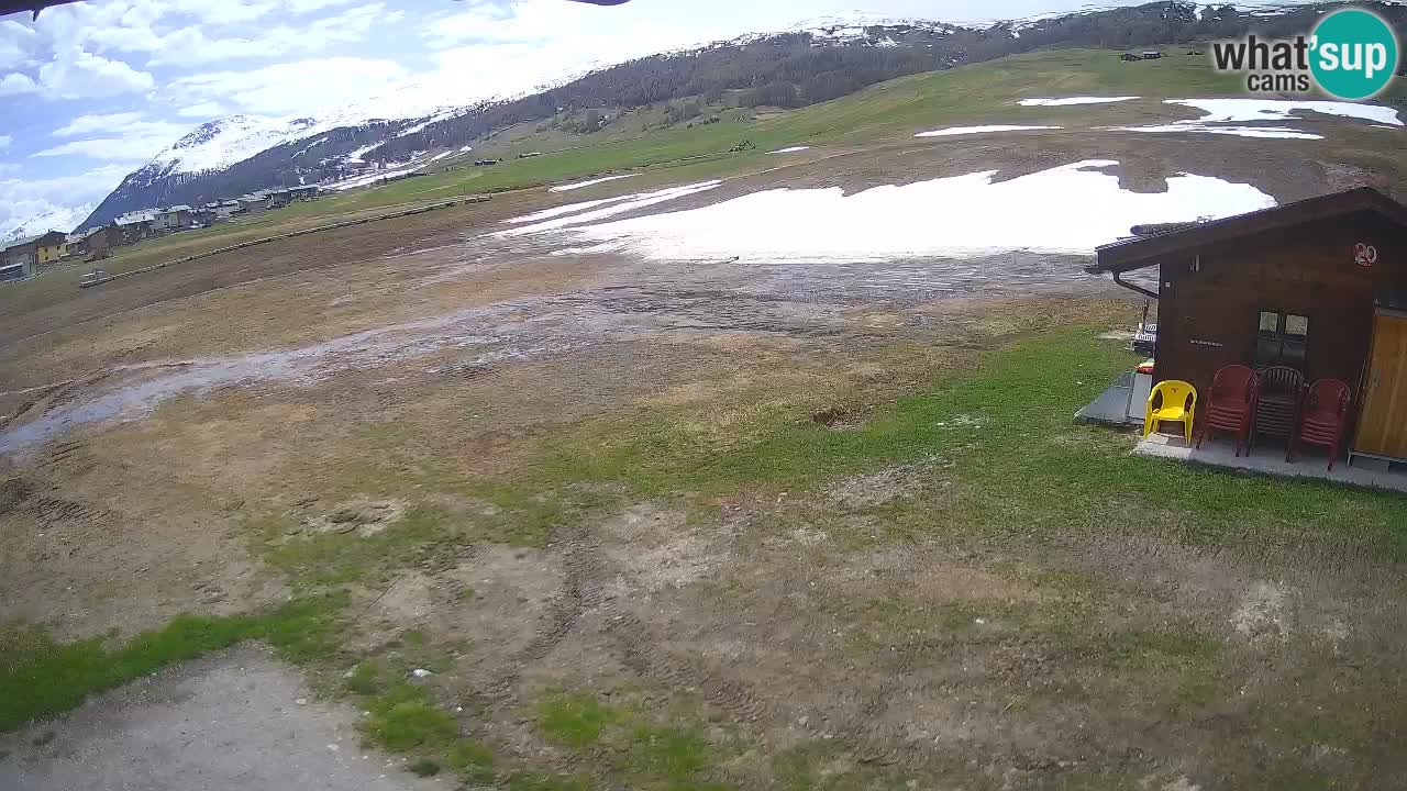 Livigno piste da sci webcam | Livigno ski