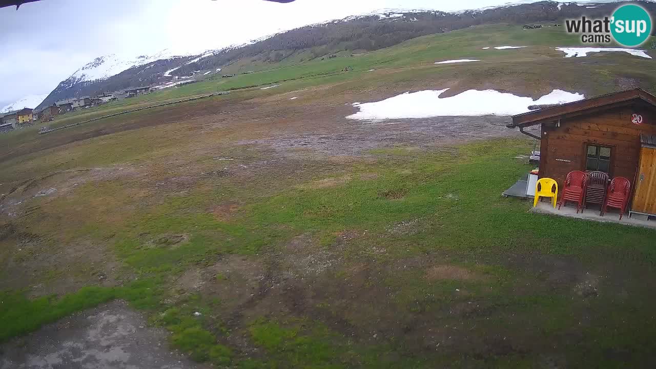 Webcam SKI Livigno snow forecast – ski area