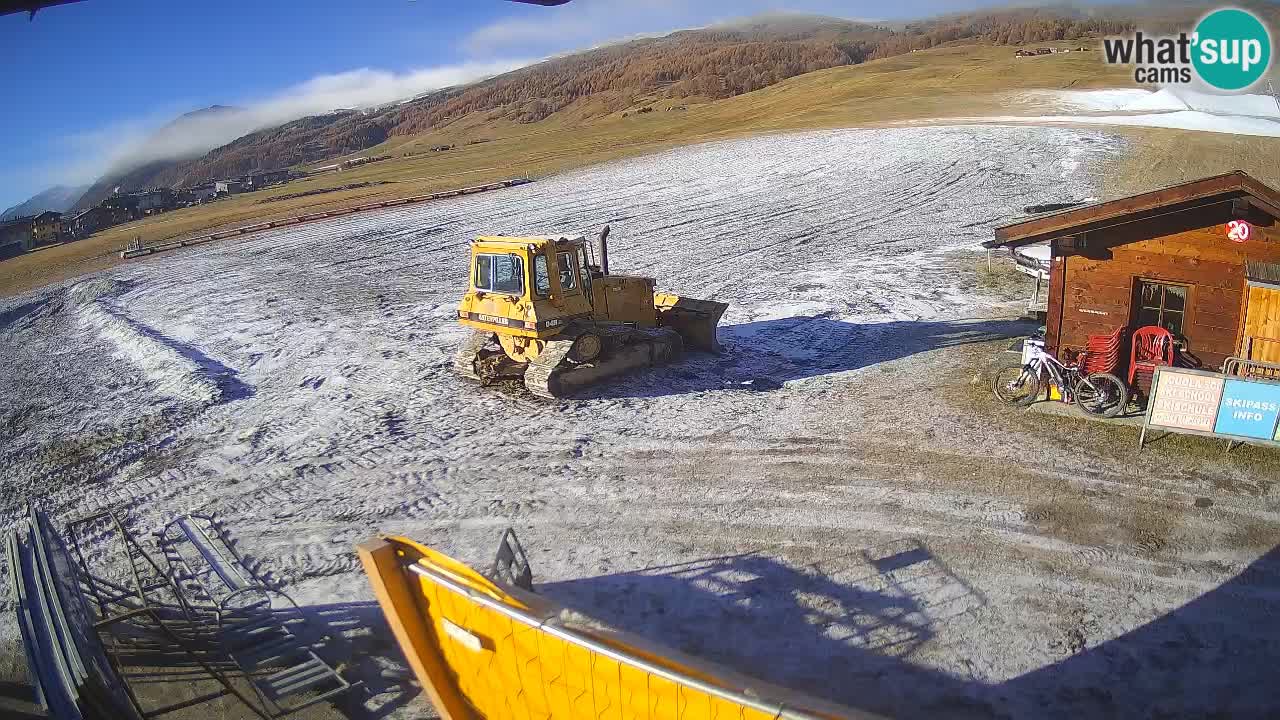 Livigno piste da sci webcam | Livigno ski