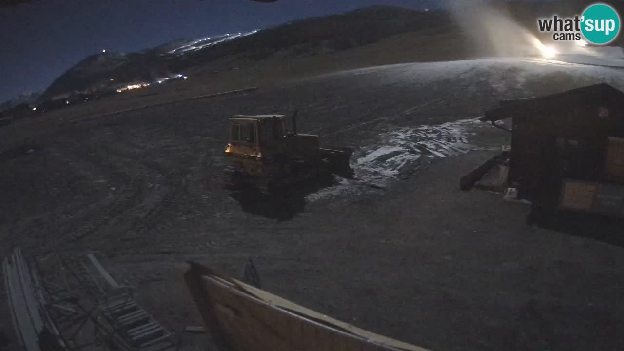 Livigno piste da sci webcam | Livigno ski