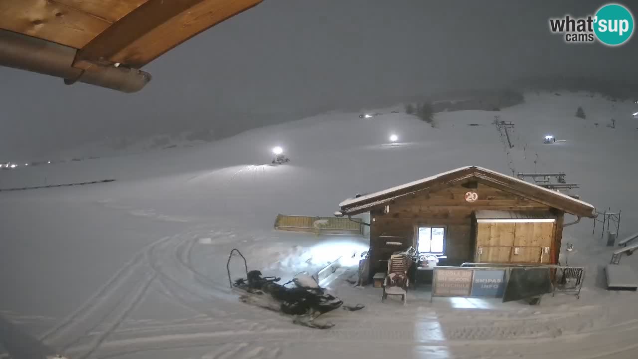 Livigno piste da sci webcam | Livigno ski