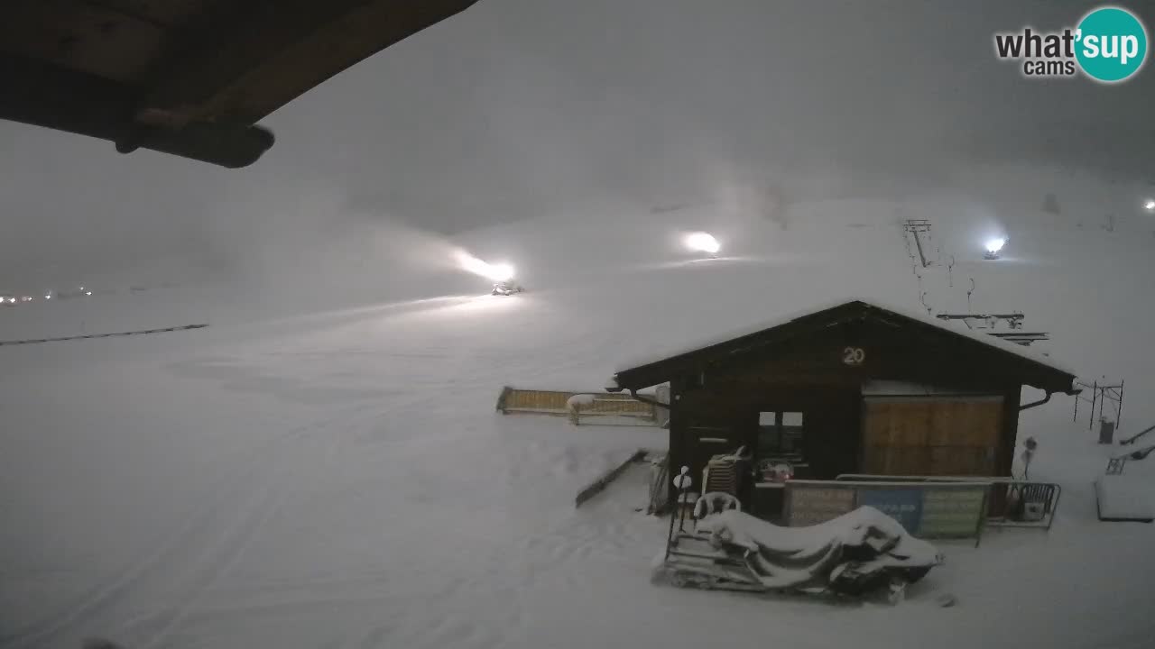 Livigno piste da sci webcam | Livigno ski