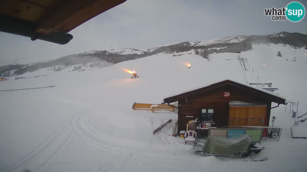 Livigno piste da sci webcam | Livigno ski