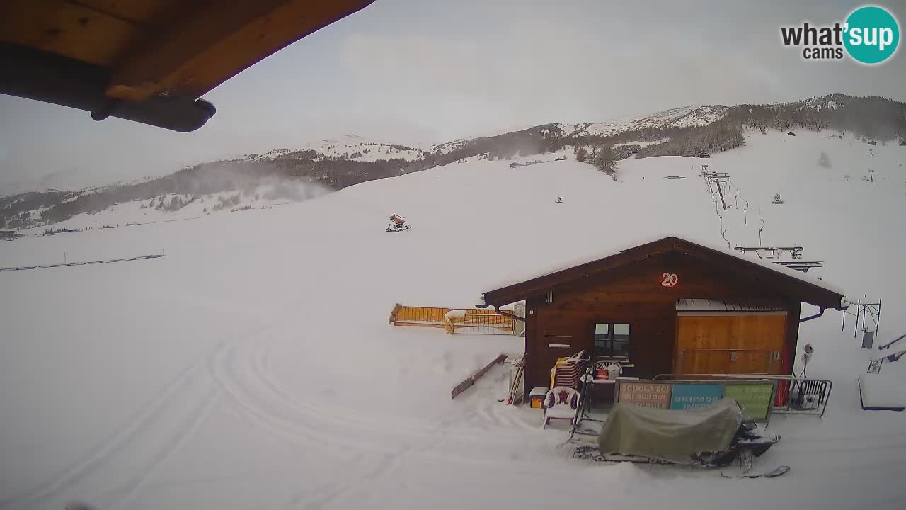 Livigno piste da sci webcam | Livigno ski