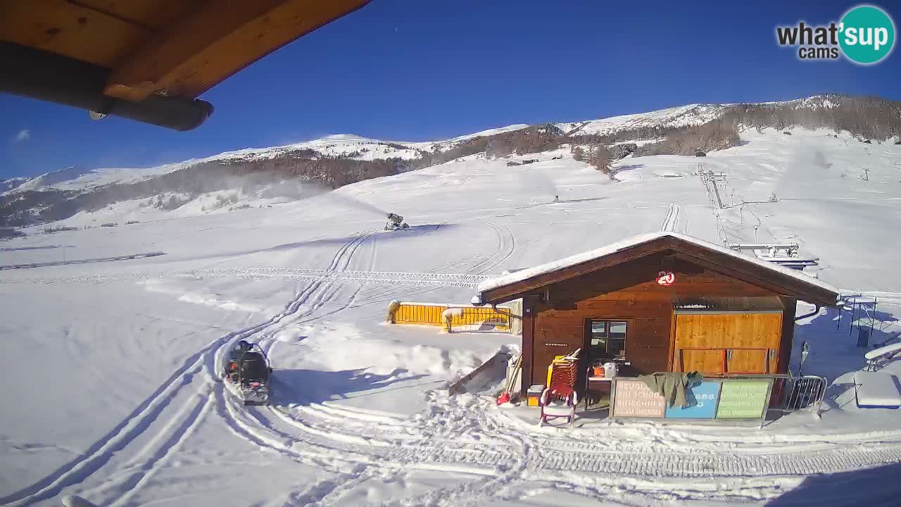 Livigno piste da sci webcam | Livigno ski