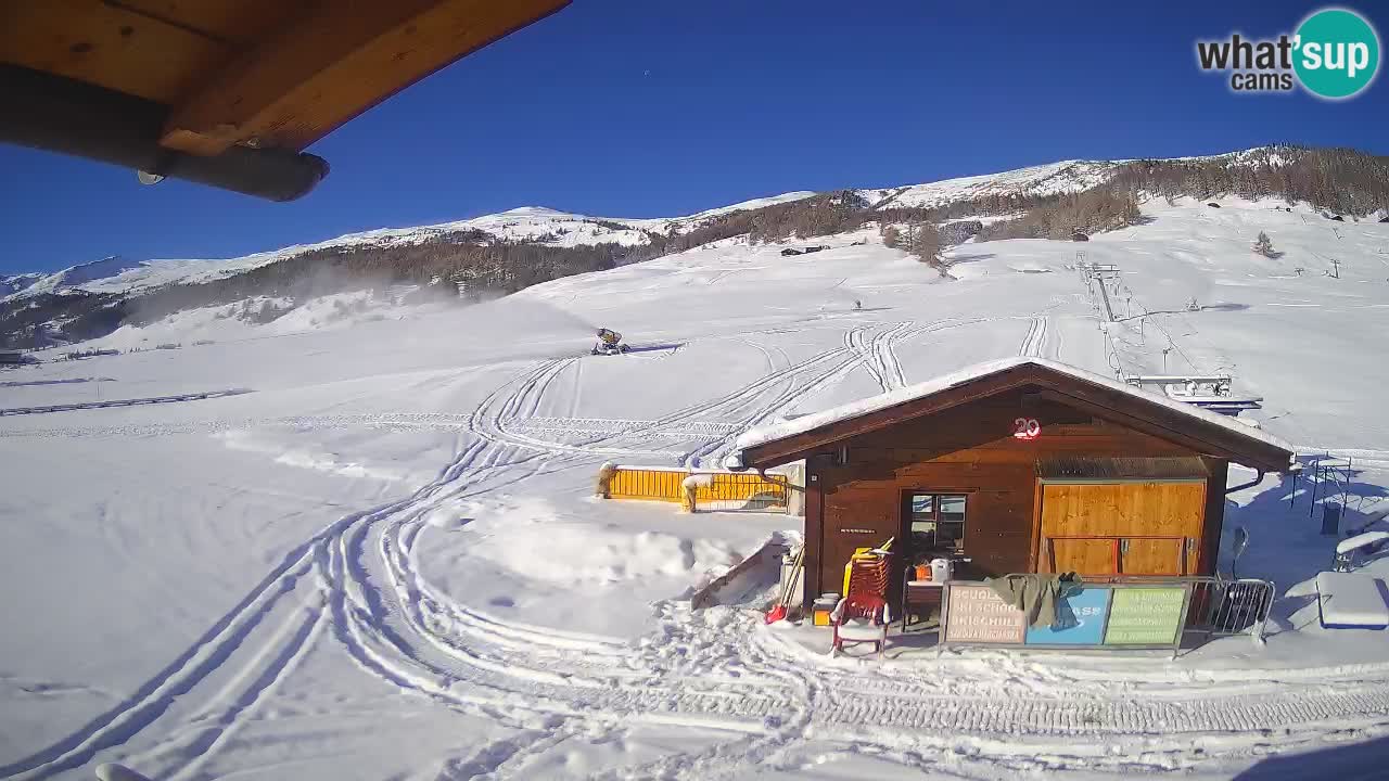 Livigno piste da sci webcam | Livigno ski