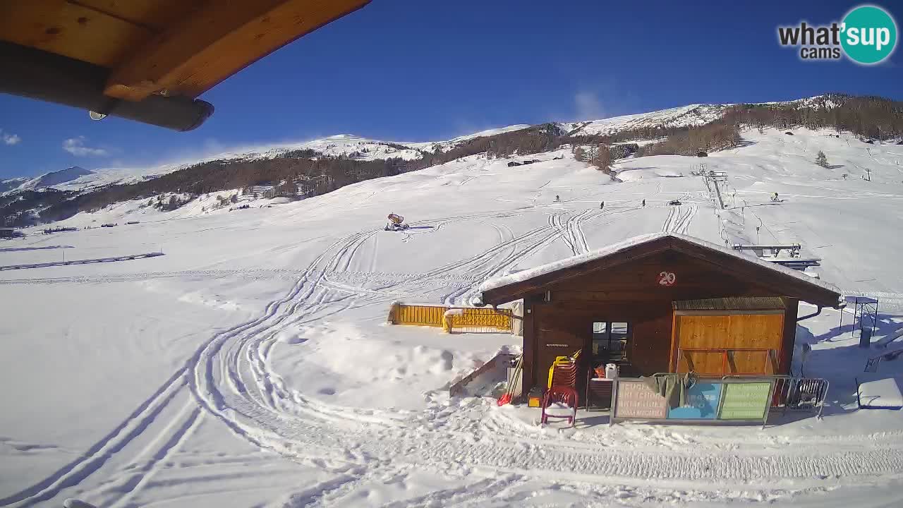 Smučišče Livigno webcam | Livigno Ski