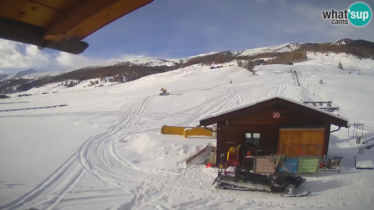 Livigno piste da sci webcam | Livigno ski