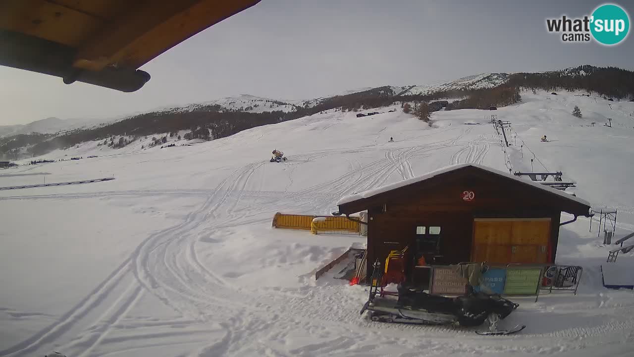 Livigno piste da sci webcam | Livigno ski