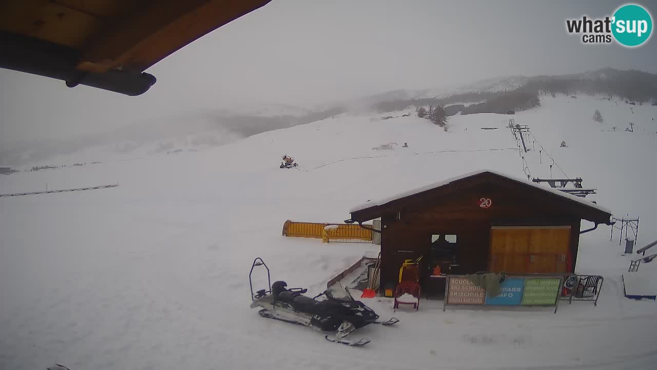 Livigno piste da sci webcam | Livigno ski