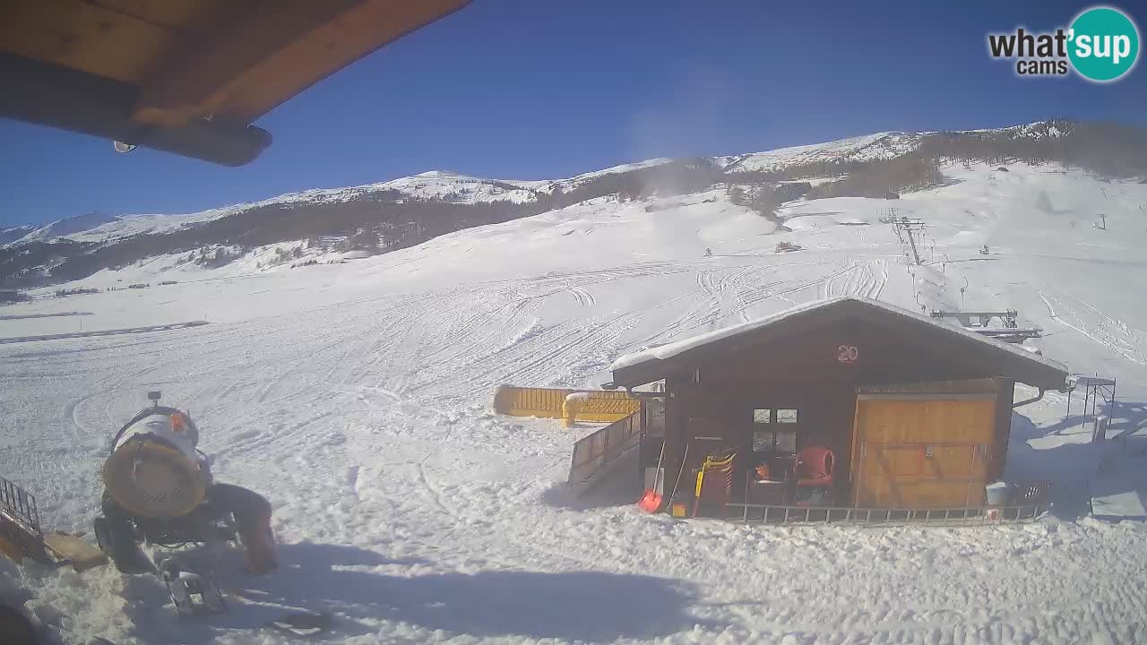 Livigno piste da sci webcam | Livigno ski