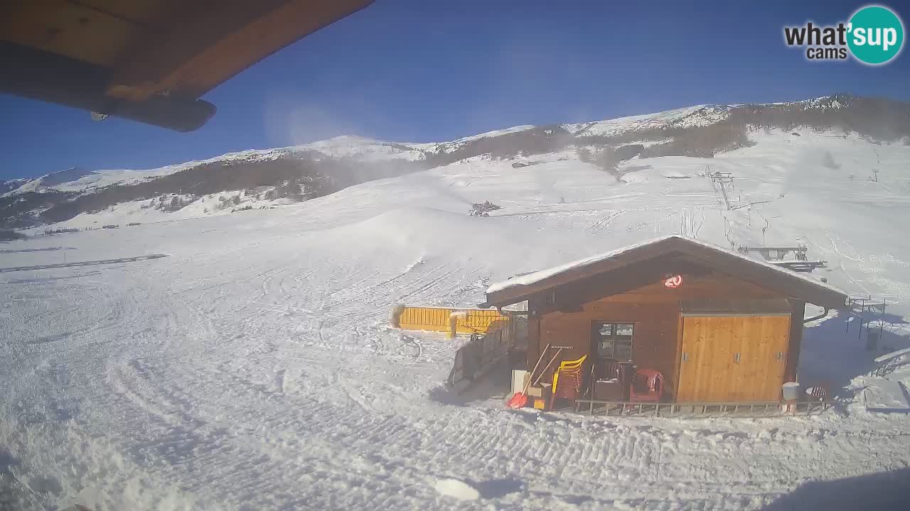 Livigno piste da sci webcam | Livigno ski