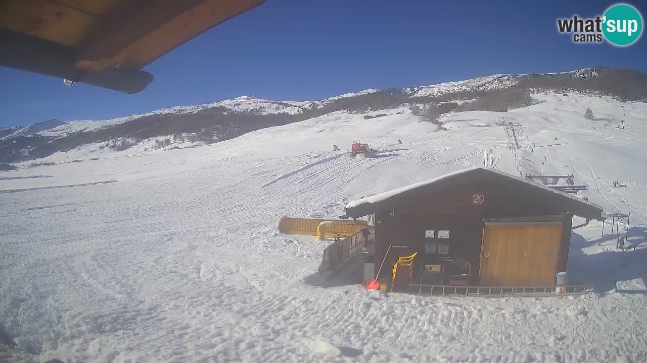 Livigno piste da sci webcam | Livigno ski