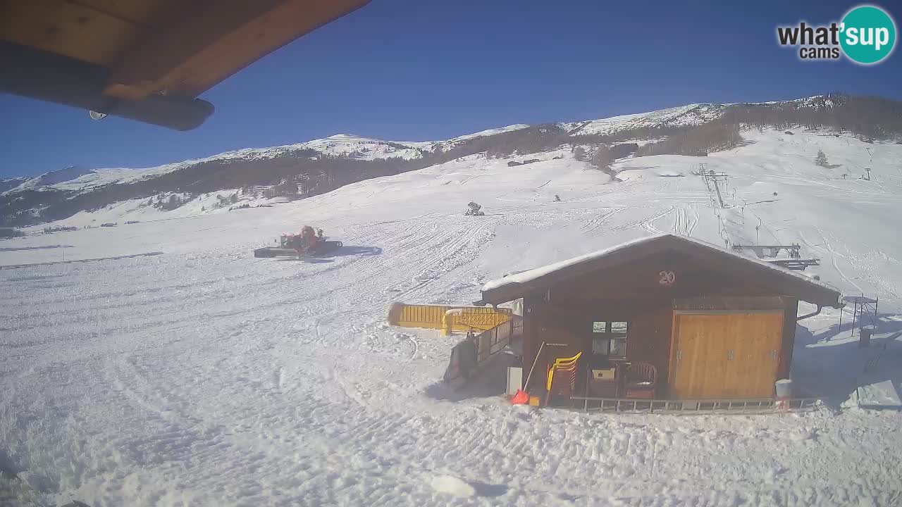 Livigno piste da sci webcam | Livigno ski