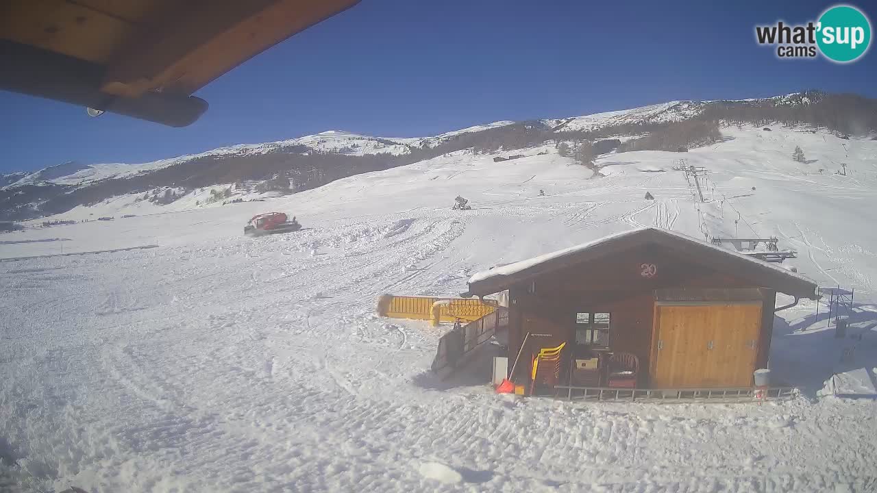 Livigno piste da sci webcam | Livigno ski