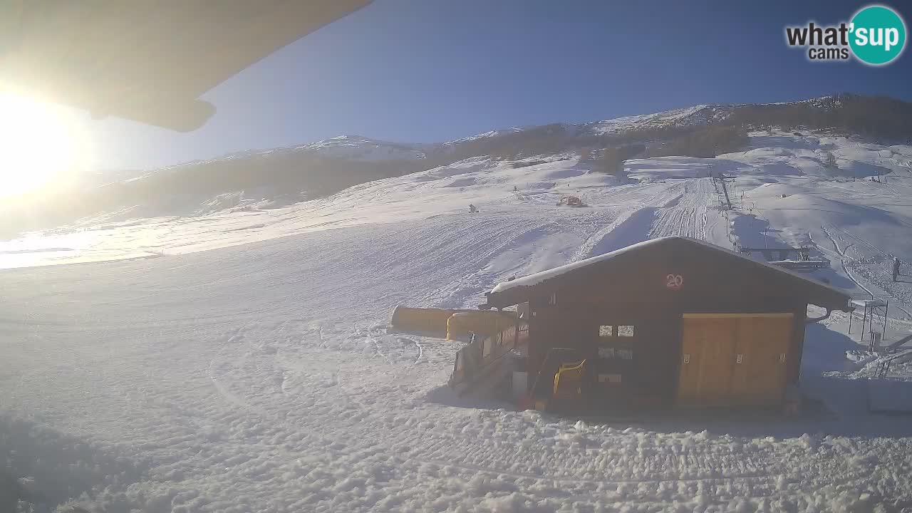 Livigno piste da sci webcam | Livigno ski