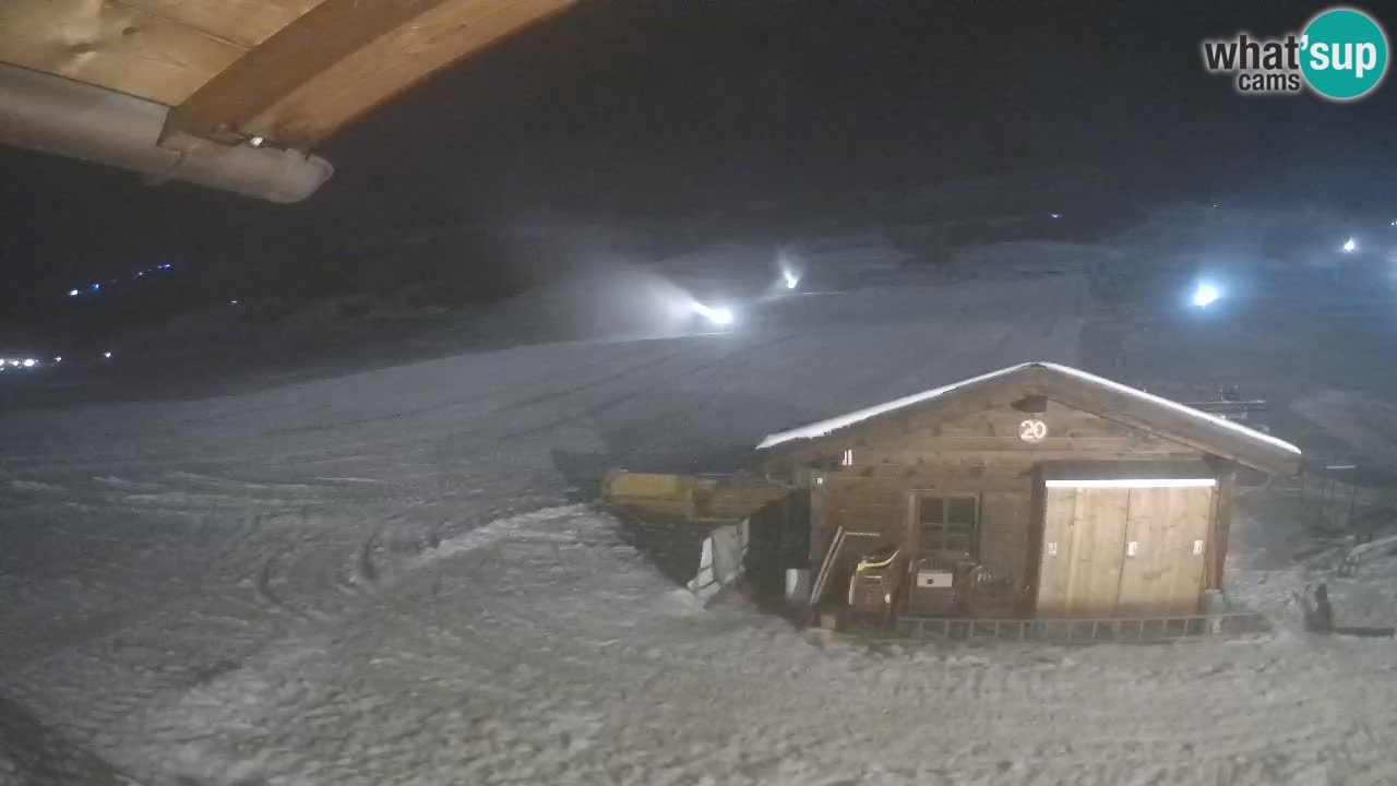 Livigno piste da sci webcam | Livigno ski