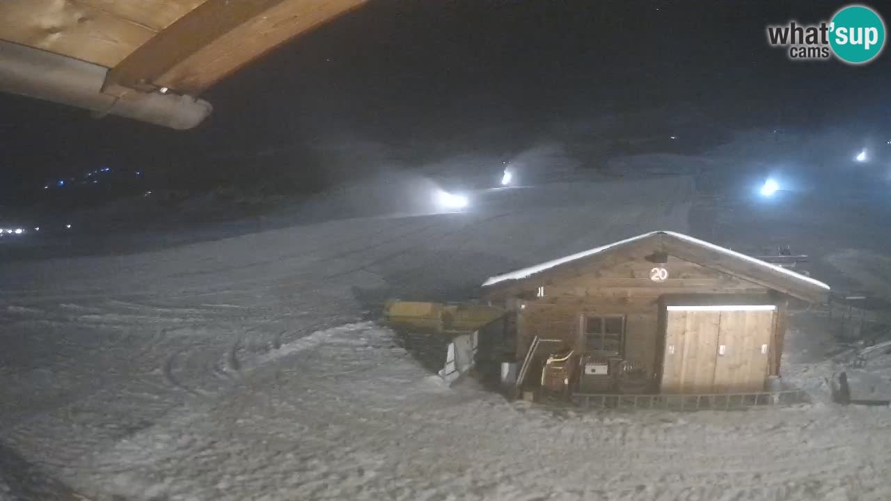 Livigno piste da sci webcam | Livigno ski