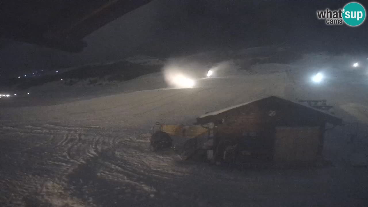 Livigno piste da sci webcam | Livigno ski