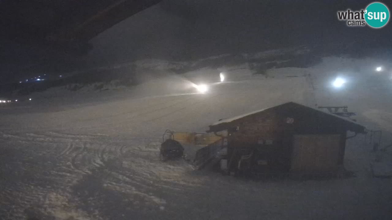 Livigno piste da sci webcam | Livigno ski