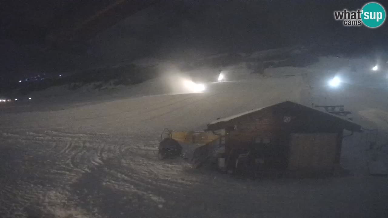 Livigno piste da sci webcam | Livigno ski