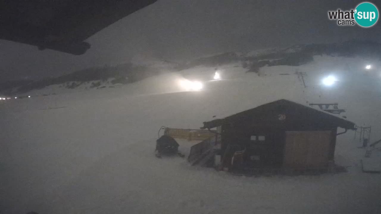 Livigno piste da sci webcam | Livigno ski