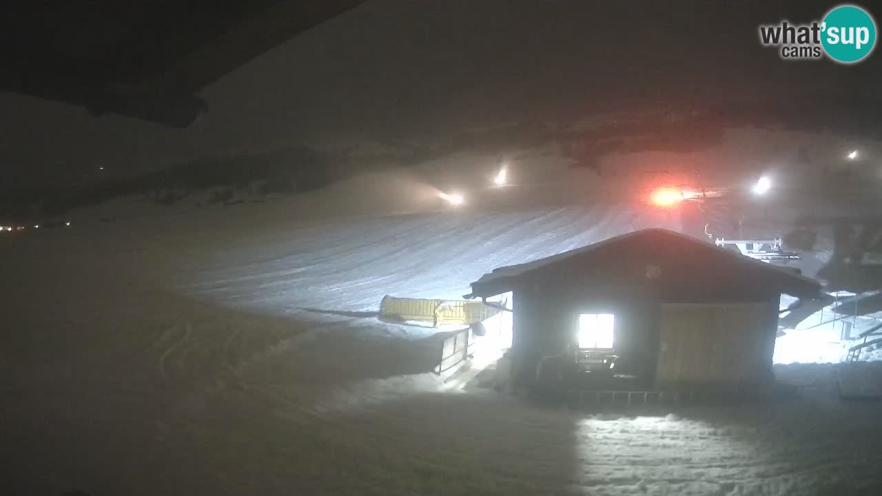 Livigno piste da sci webcam | Livigno ski