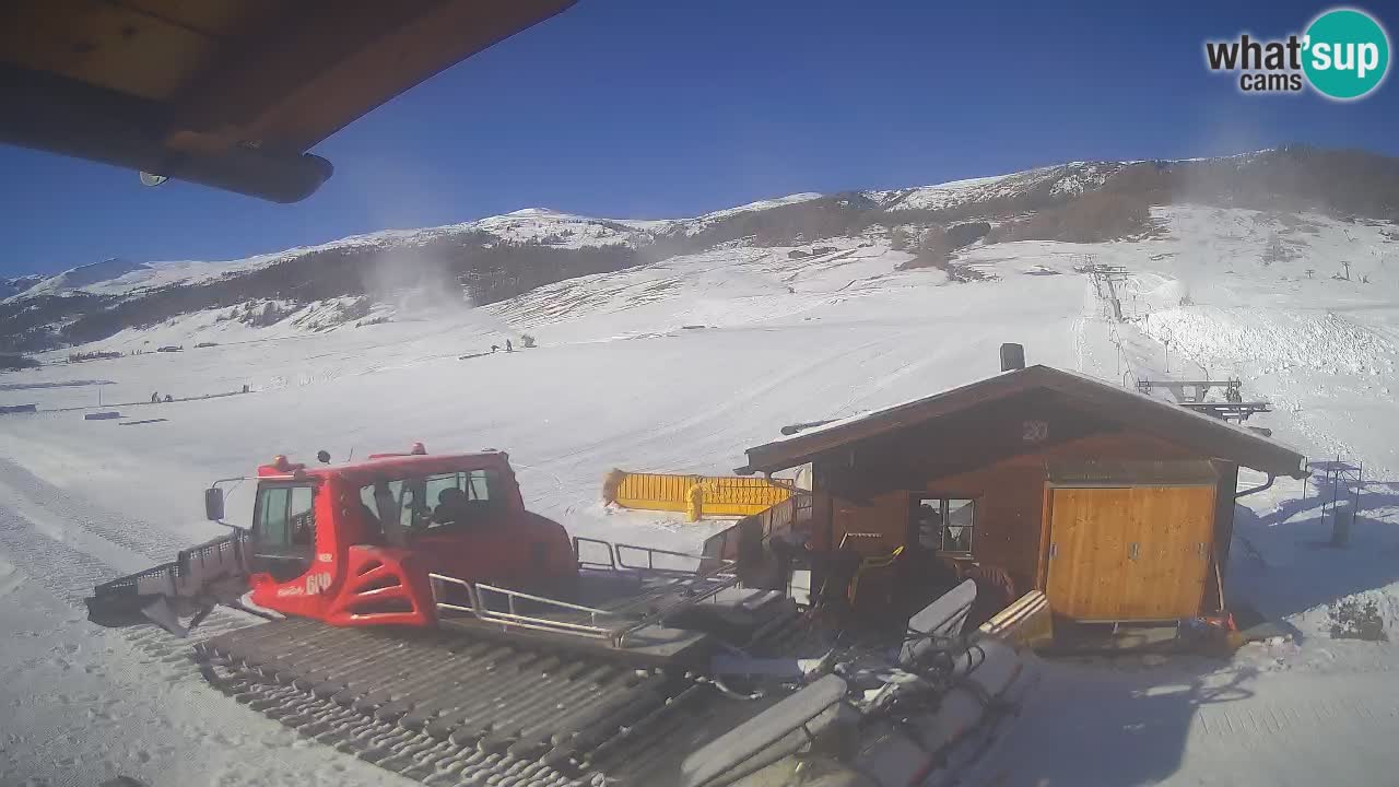 Livigno piste da sci webcam | Livigno ski