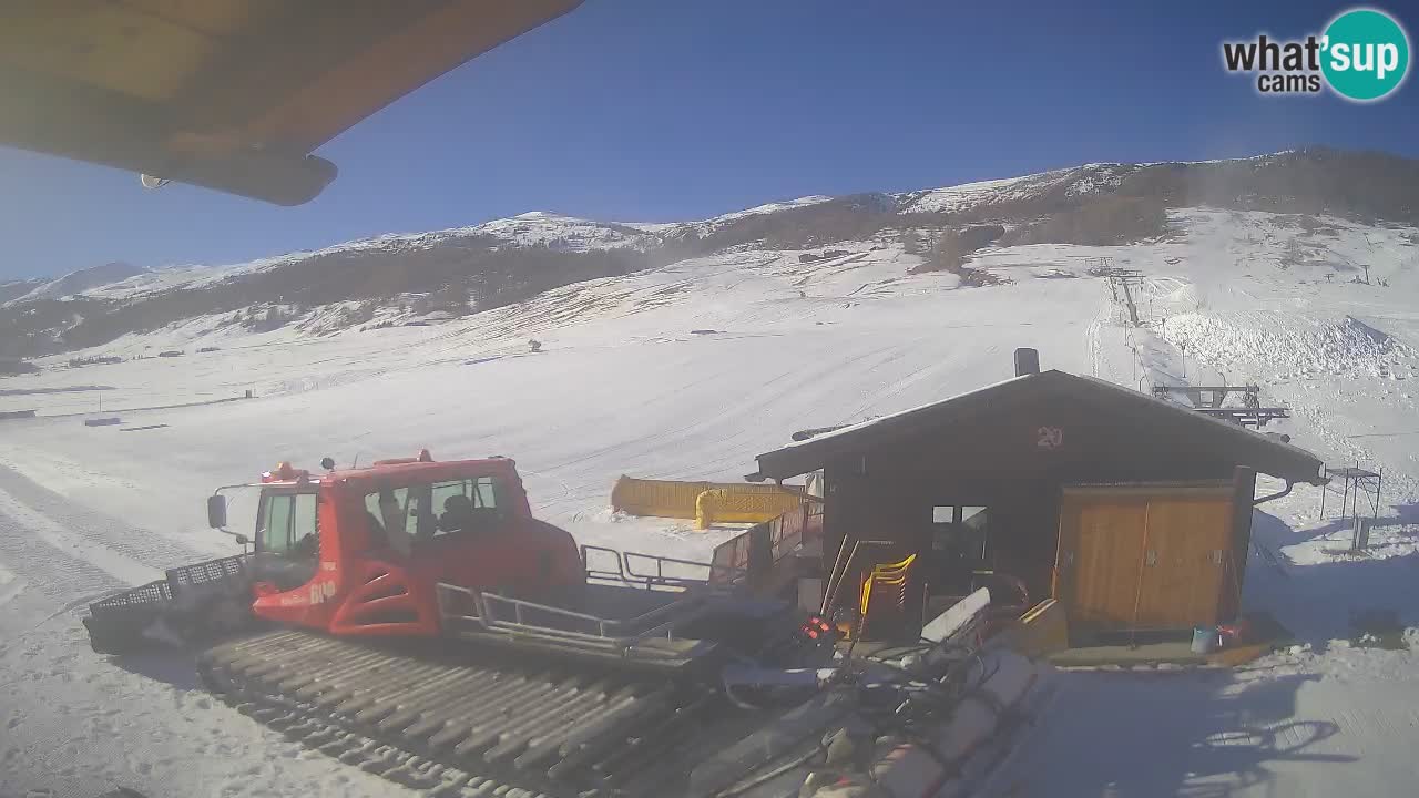 Livigno piste da sci webcam | Livigno ski