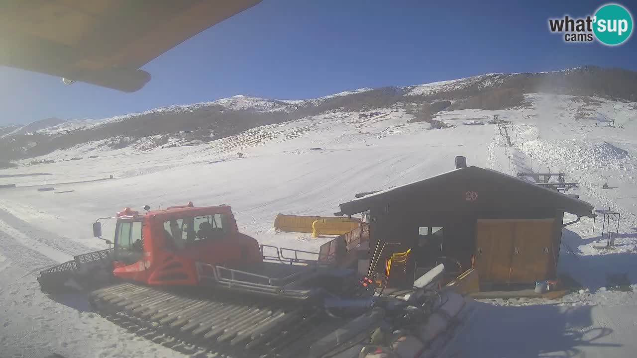 Livigno piste da sci webcam | Livigno ski