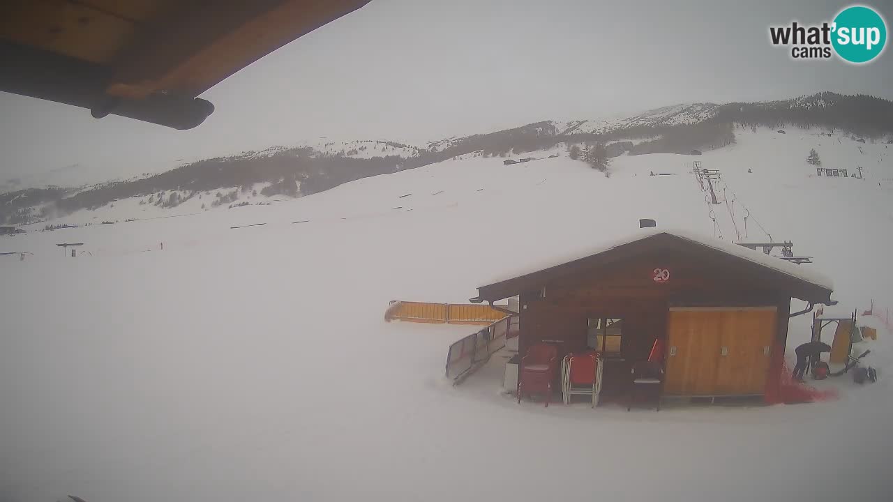 Livigno piste da sci webcam | Livigno ski