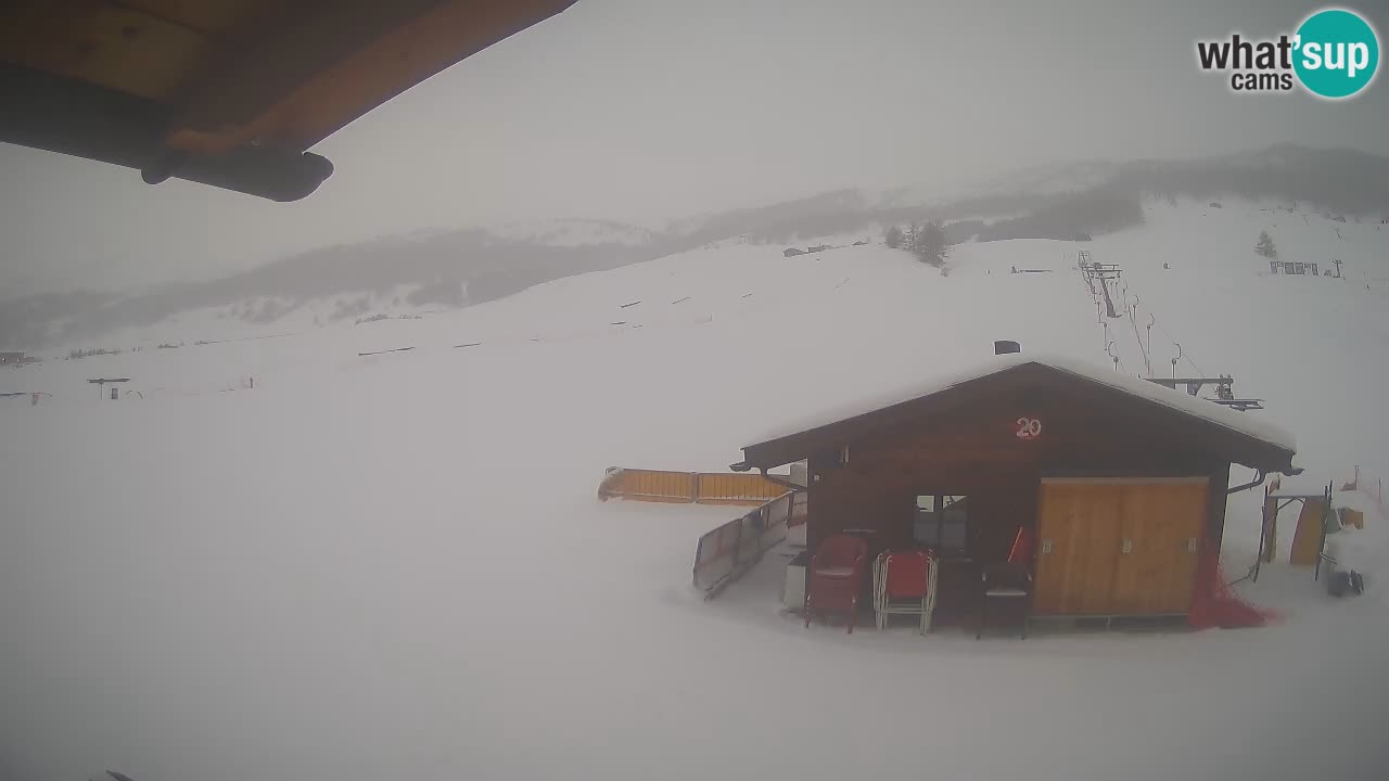 Webcam SKI Livigno snow forecast – ski area