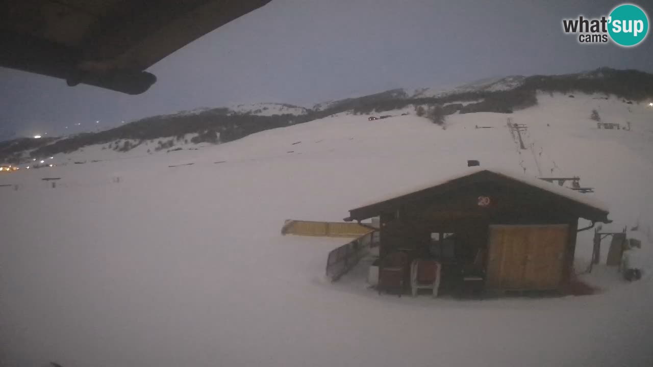 Livigno piste da sci webcam | Livigno ski