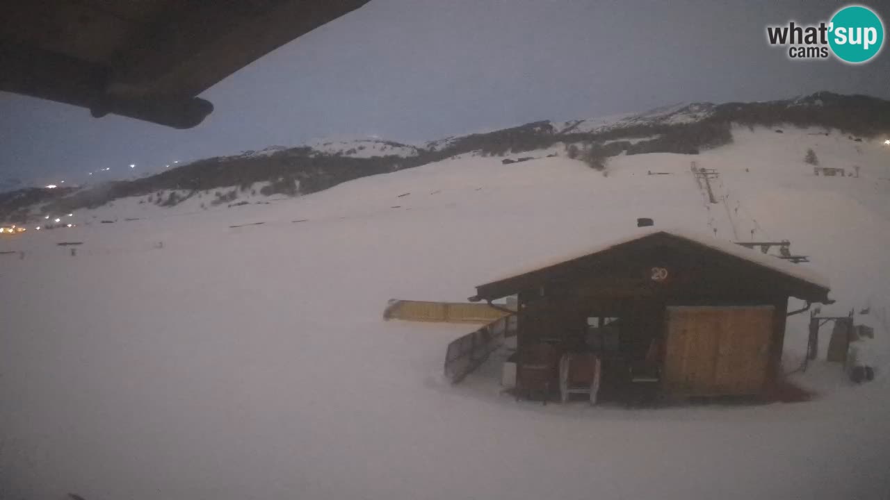 Livigno piste da sci webcam | Livigno ski