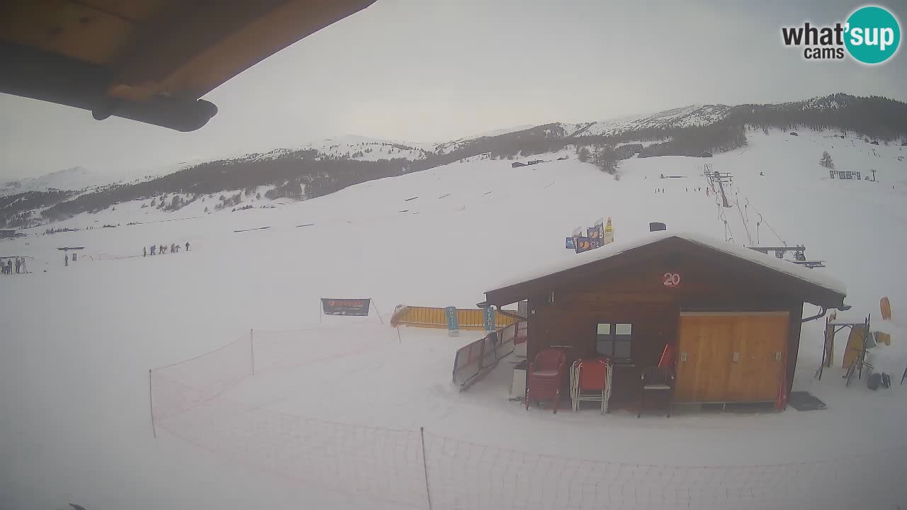 Livigno piste da sci webcam | Livigno ski