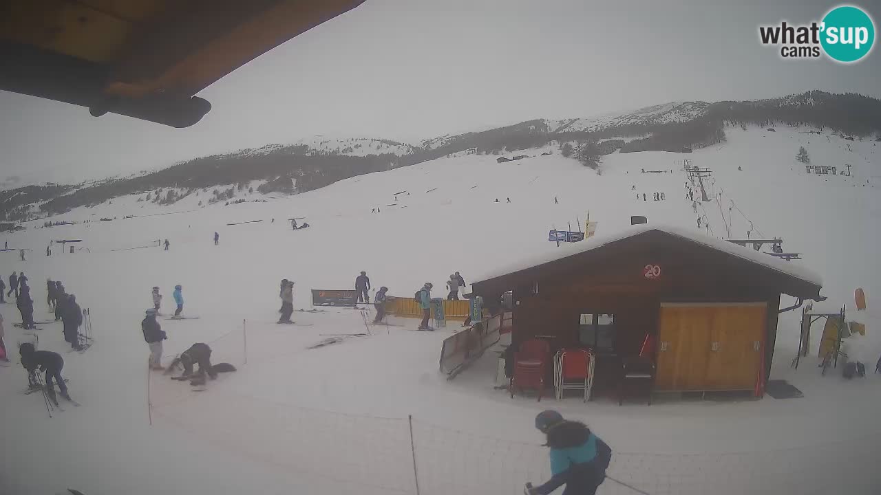 Livigno piste da sci webcam | Livigno ski