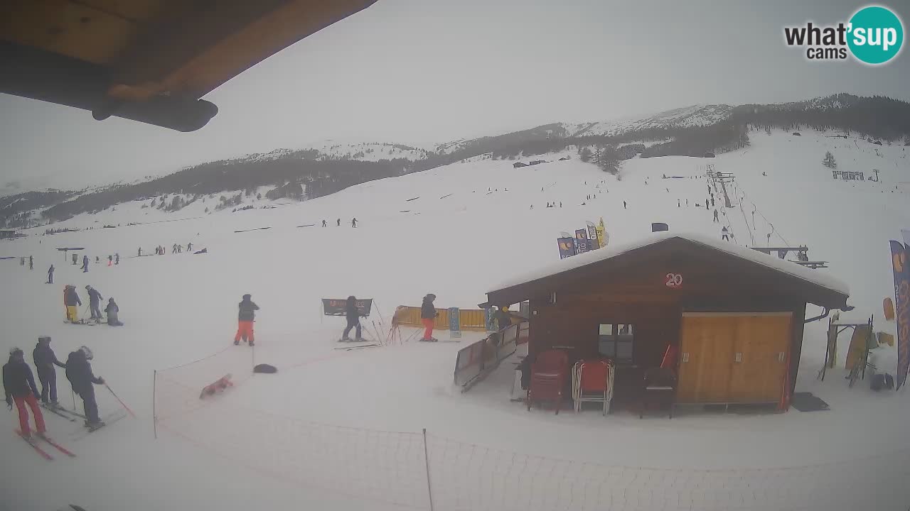 Livigno piste da sci webcam | Livigno ski