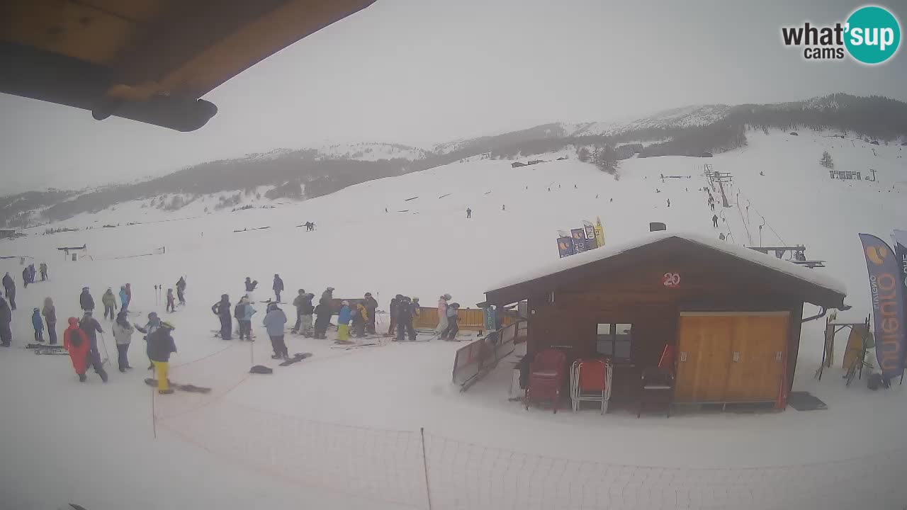 Livigno piste da sci webcam | Livigno ski