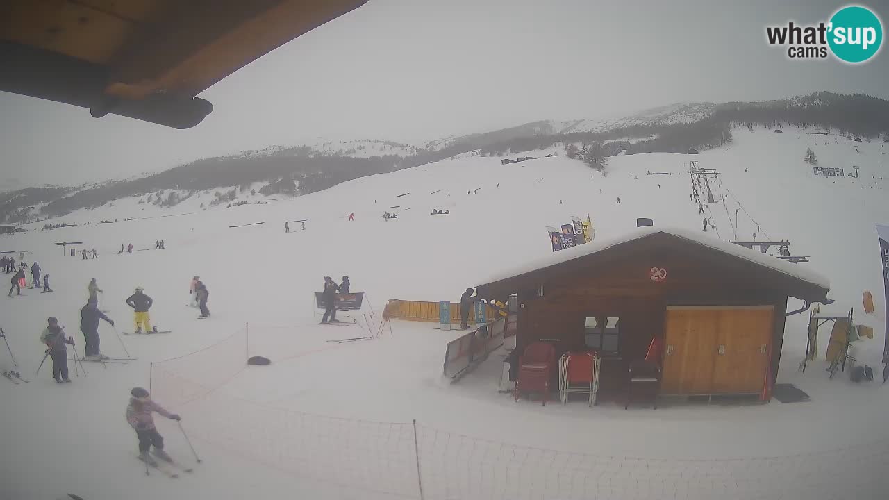 Livigno piste da sci webcam | Livigno ski