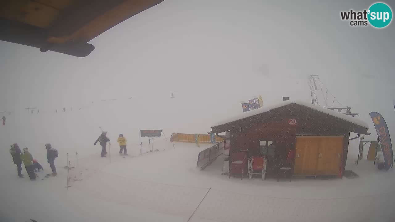 Livigno piste da sci webcam | Livigno ski