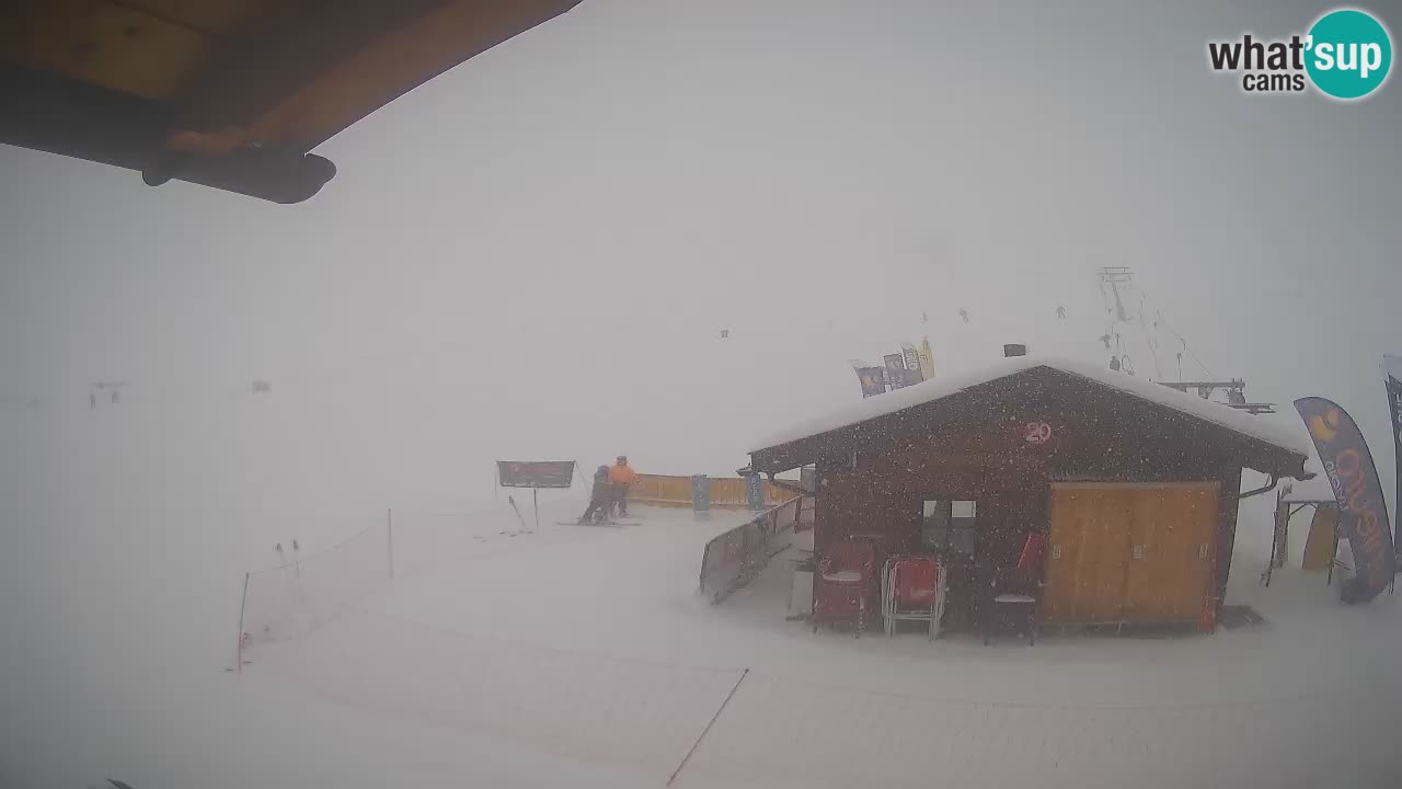 Livigno piste da sci webcam | Livigno ski