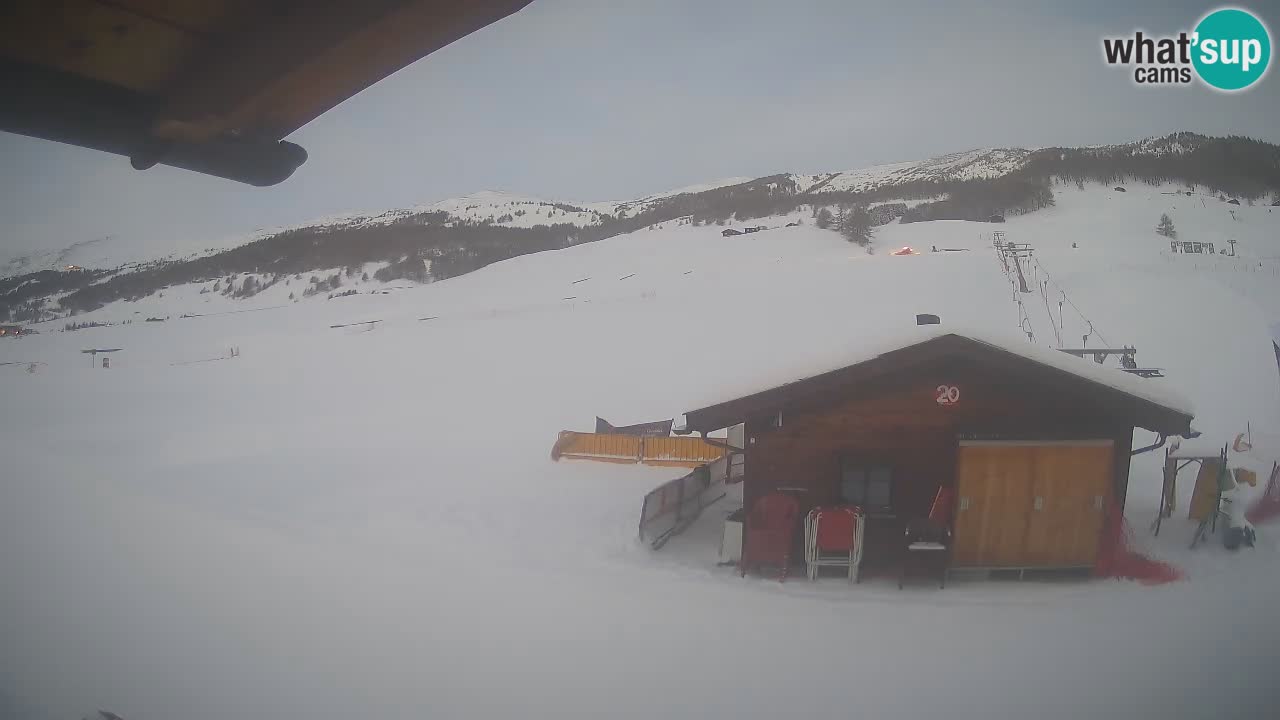 Webcam SKI Livigno snow forecast – ski area