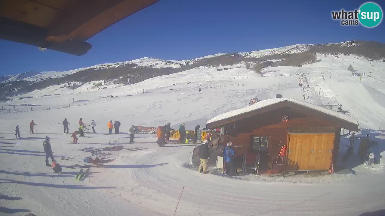 Livigno piste da sci webcam | Livigno ski