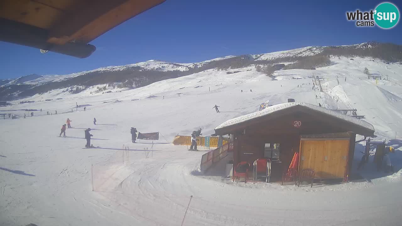 Livigno piste da sci webcam | Livigno ski